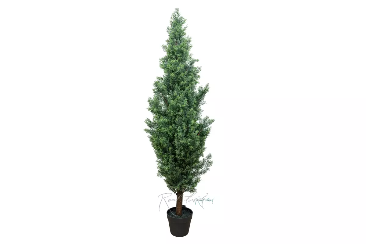 Real Touch Juniper 60" (150 cm) - white green