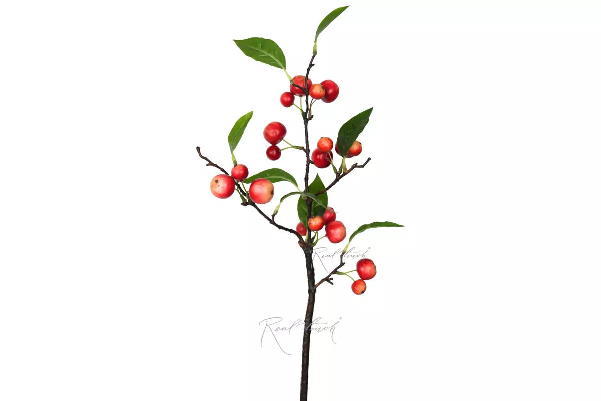 Apple branch - red