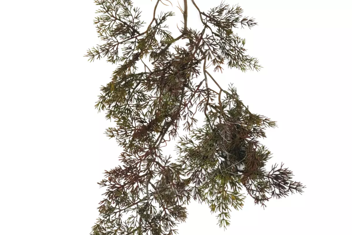 Pine branch - Green brown