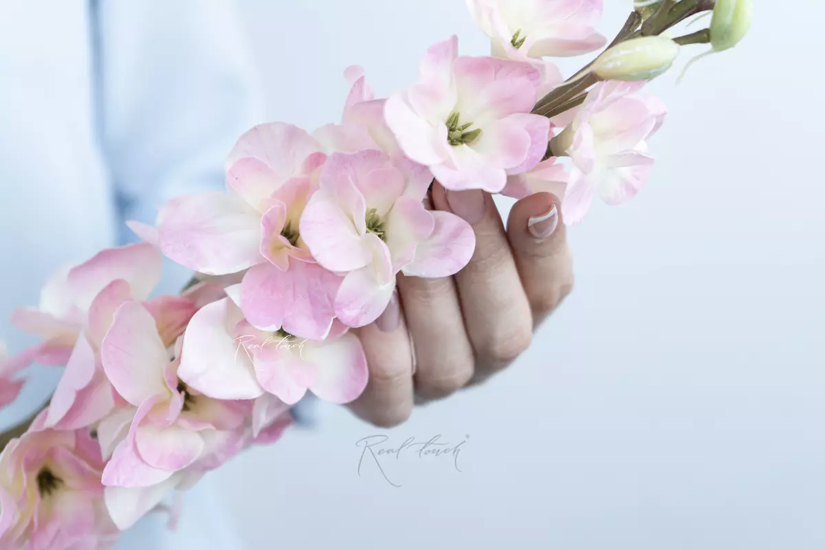 Delphinium small - light pink