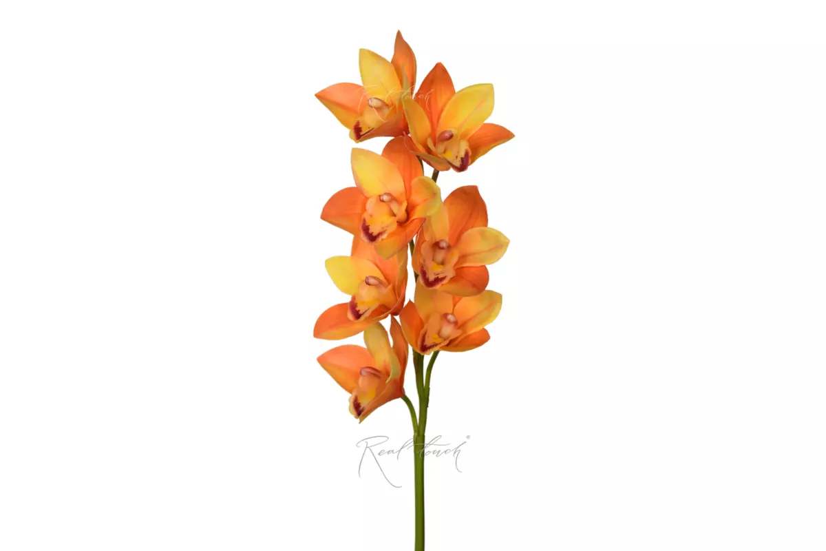 Cymbidium with 7 inflorescences 27" - Yellow orange