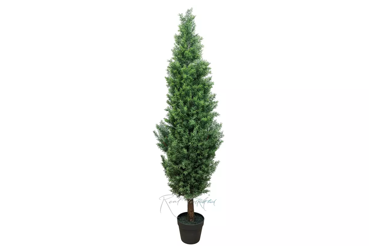 Real Touch Juniper 60" (150 cm) - green