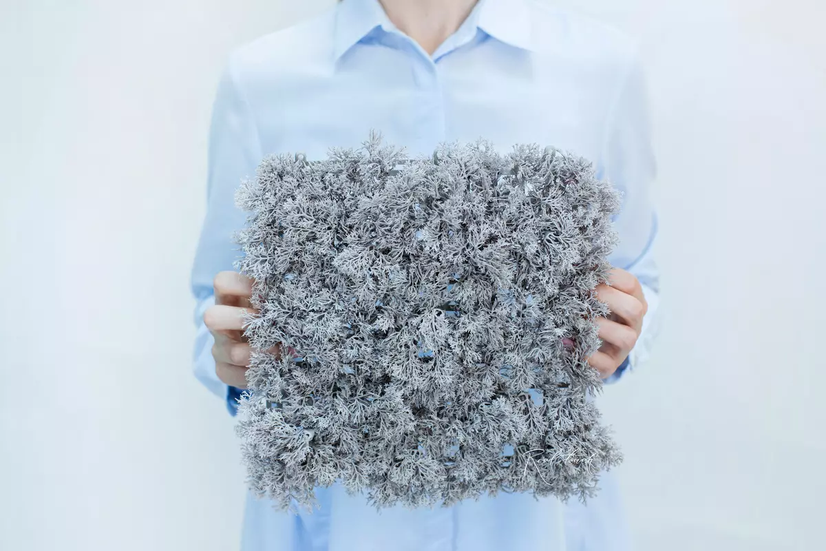 Reindeer Moss Yagel panel 24,5 * 24,5cm - silver Reindeer Moss Yagel panel 24,5 * 24,5cm - silver