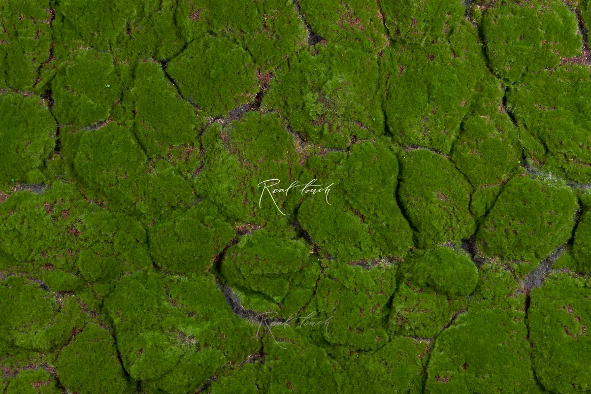 Moss mat 1*1м 100-7 - green