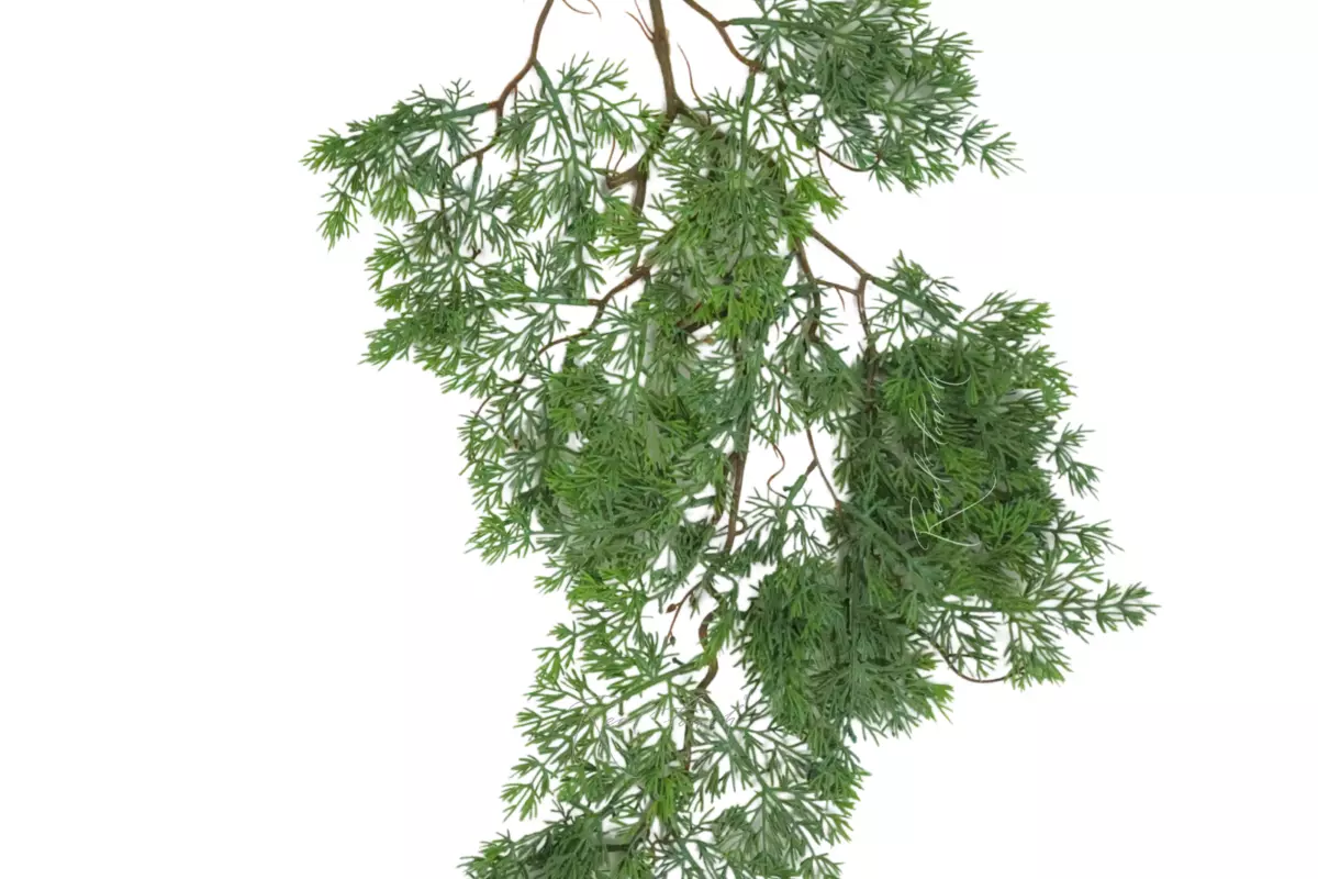Pine branch - Gray green