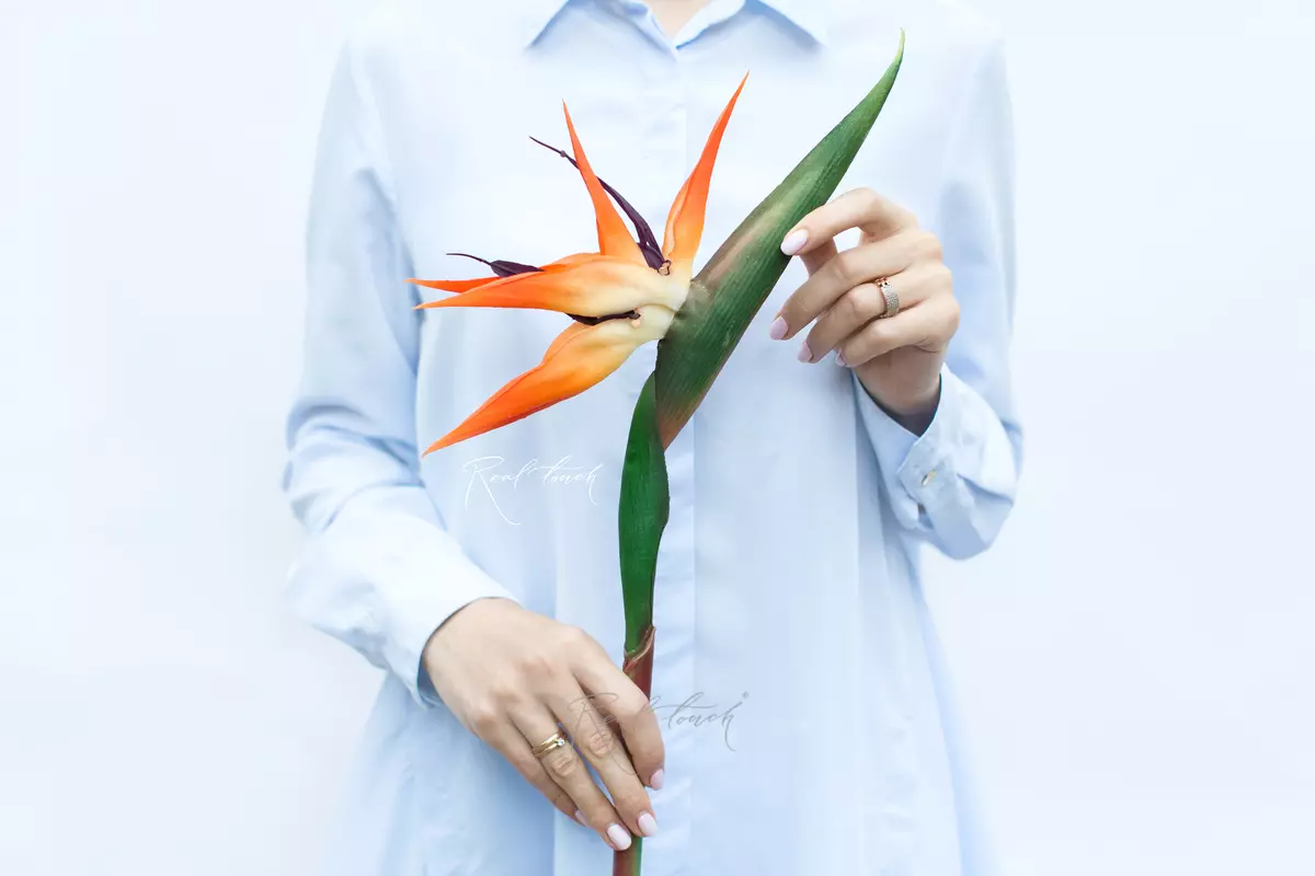 Bird of Paradise Strelitzia flower 100cm - Yellow red Bird of Paradise Strelitzia flower 100cm - Yellow red