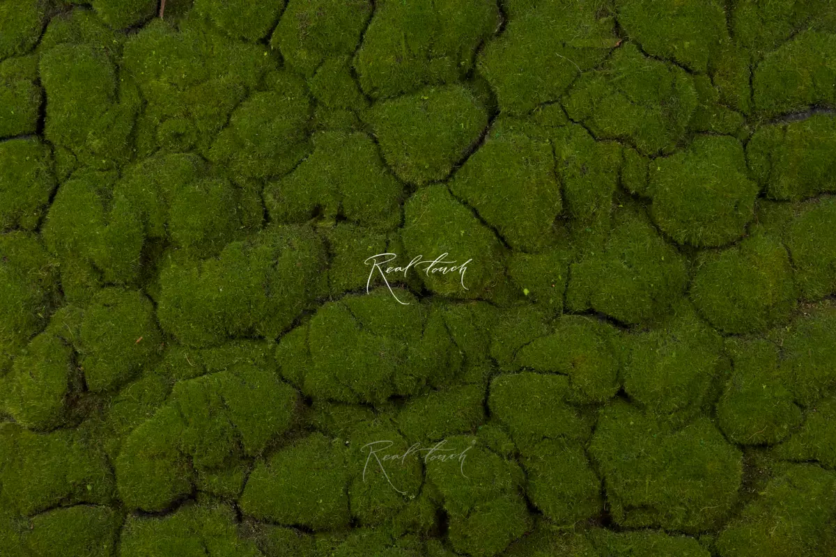 Moss mat 1*1м 9-1 - green