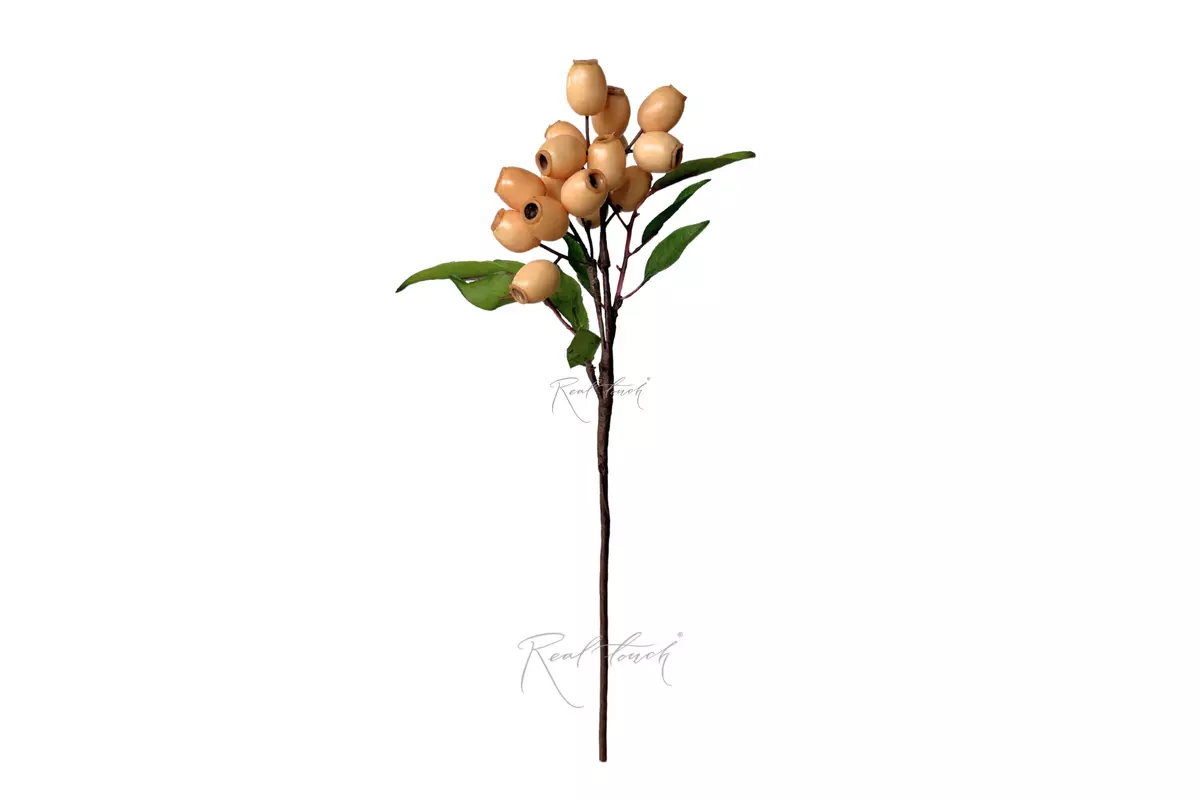 Artificial Eucalyptus branch with fruits  - Milk