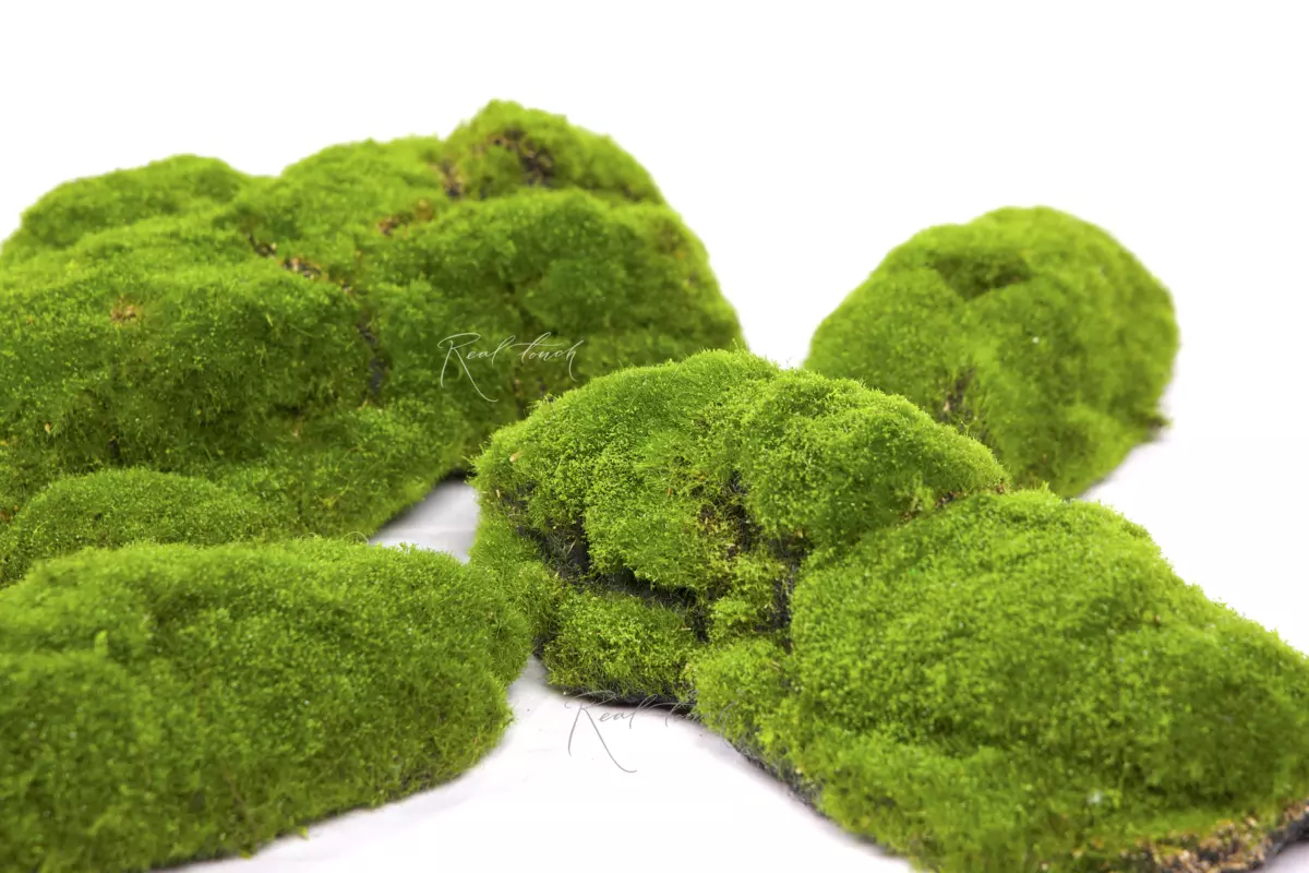 Moss hummocks big (set of 4pcs) BF5-5 - green
