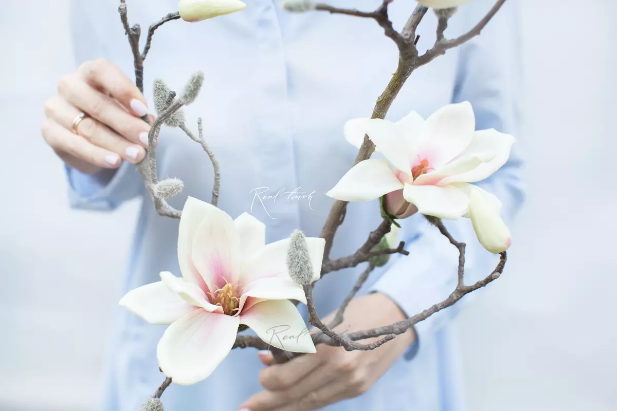Branch with magnolia flowers (3 + 2 buds) - white pink 