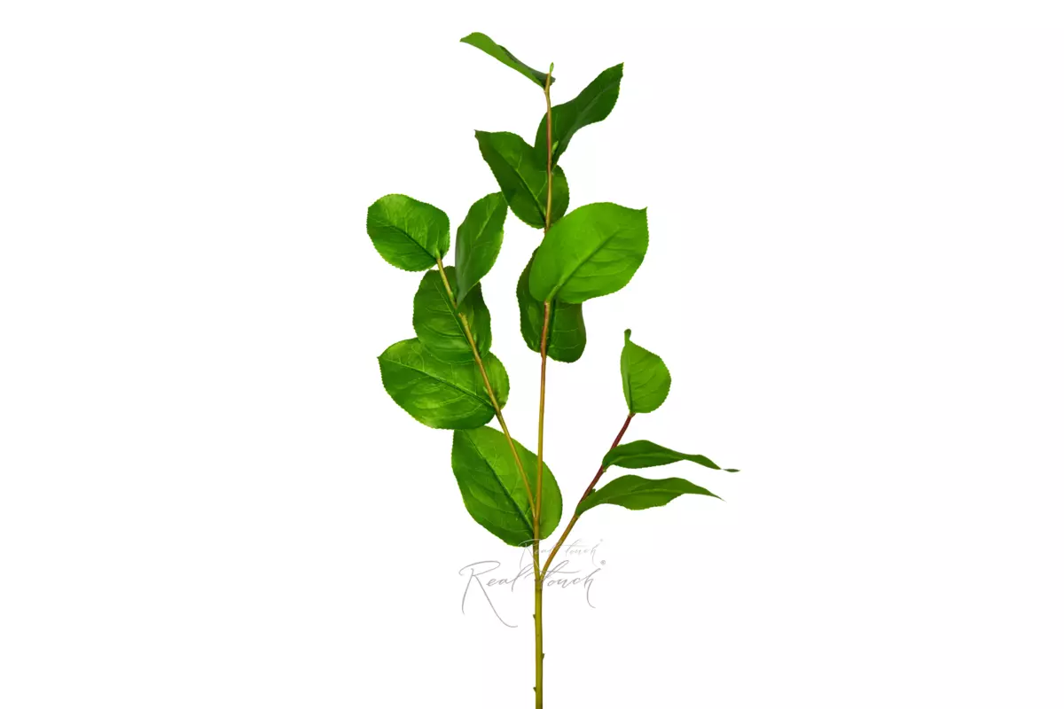  Salal branch 83cm - green