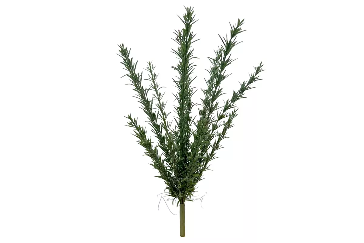Bush Rosemary - green