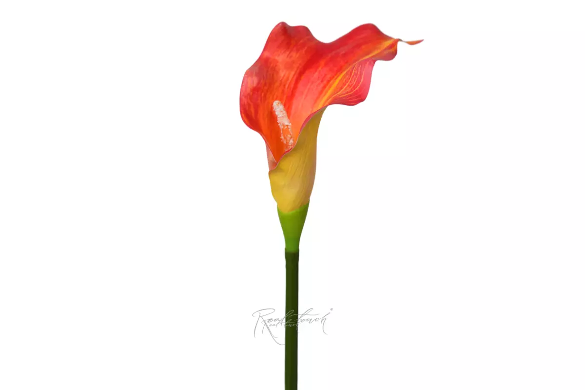 Calla 3D Large - orange