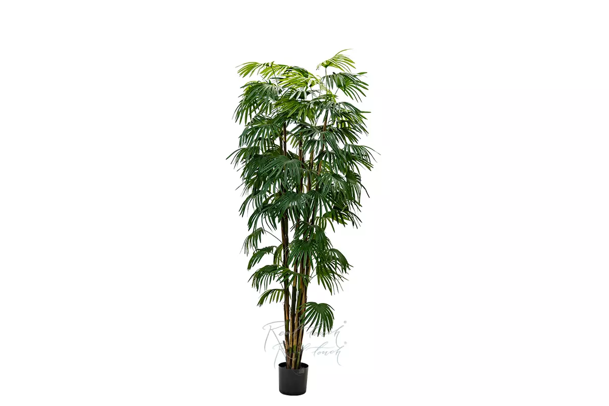 Fan palm 210cm - green Fan palm 210cm - green