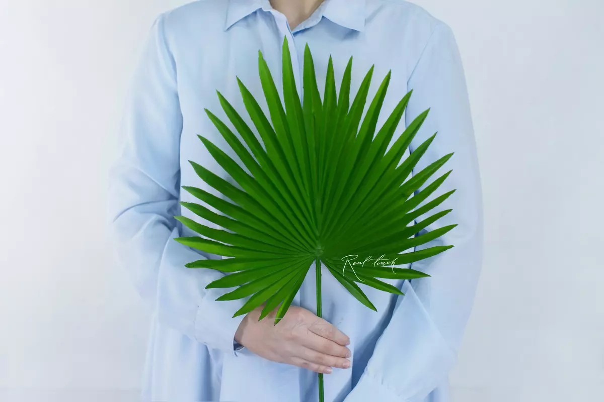 Fan palm leaf - green Fan palm leaf - green