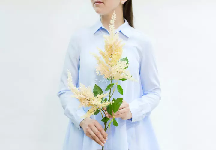 Artificial Astilbe branch - Champagner