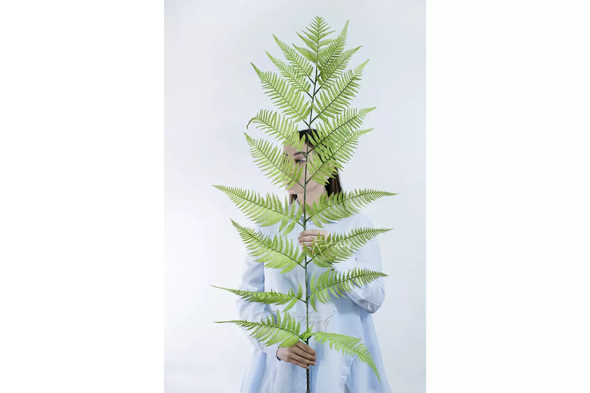 Tree-like branch of fern 180cm - dusty green