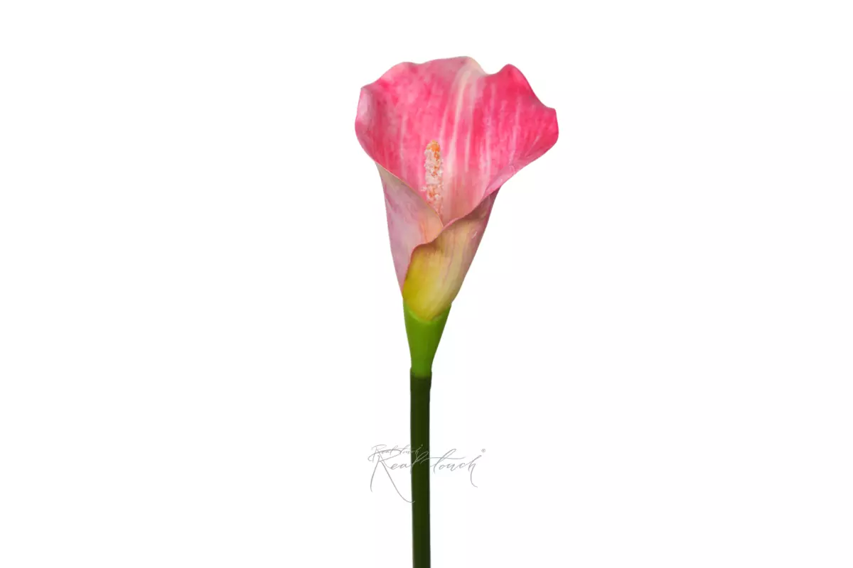 Calla 3D Small - pink