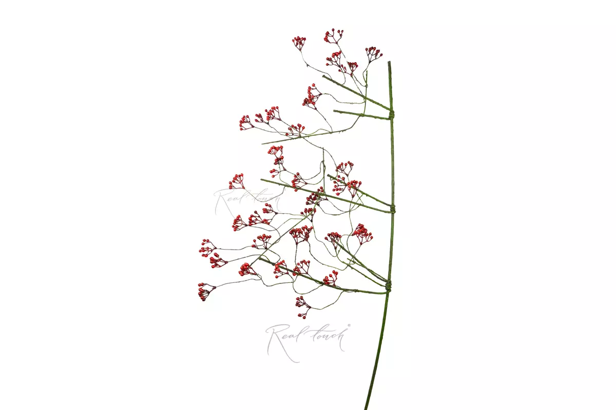 Rowan branch - Dark red