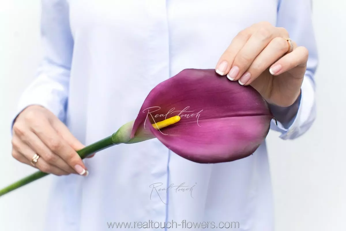 Real Touch Calla Lily Premium - purple