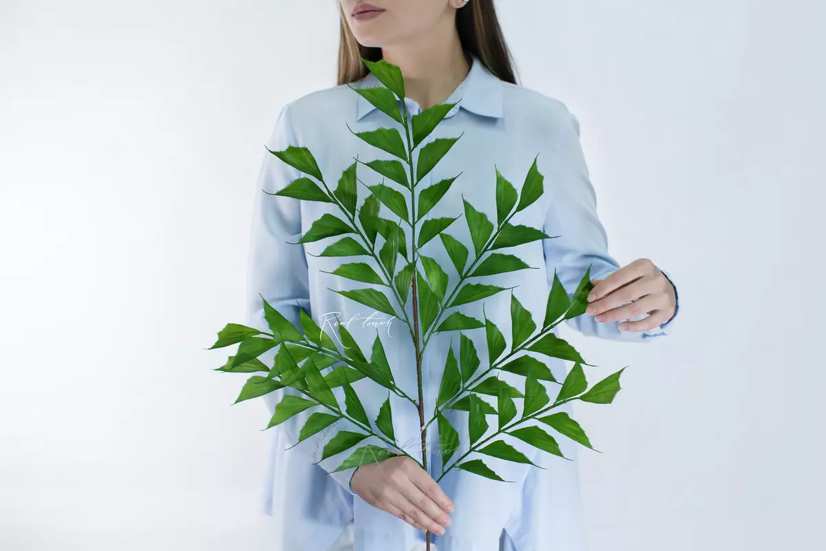 Branch of Caryota Obtusa - green
