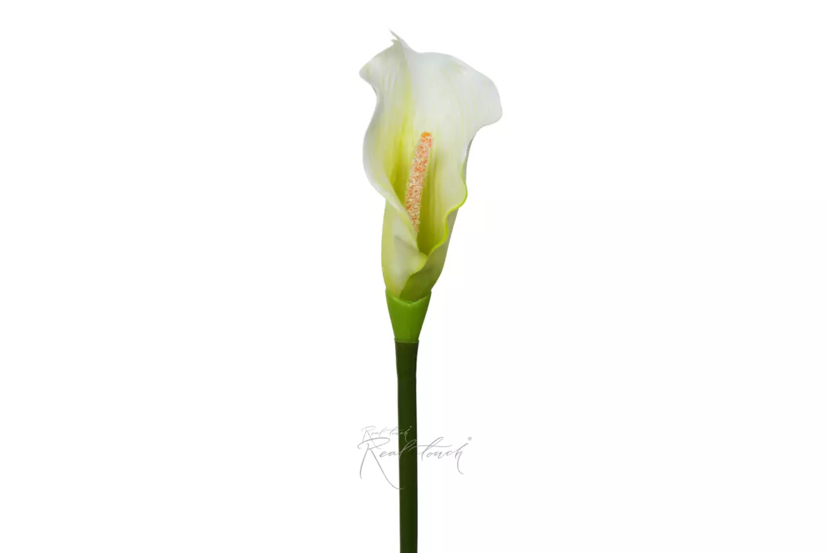 Calla 3D Small - white