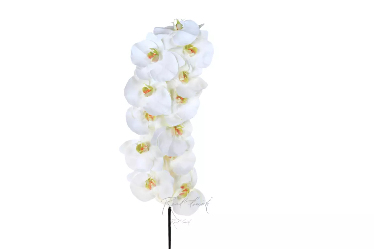 Real Touch Phalaenopsis Orchid 12 blooms (yellow core) - white