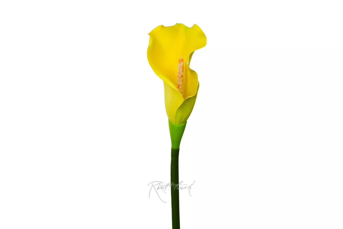 Calla 3D Small - yellow