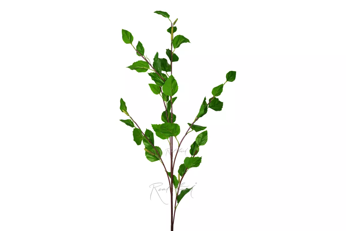 Birch branch 47" - green