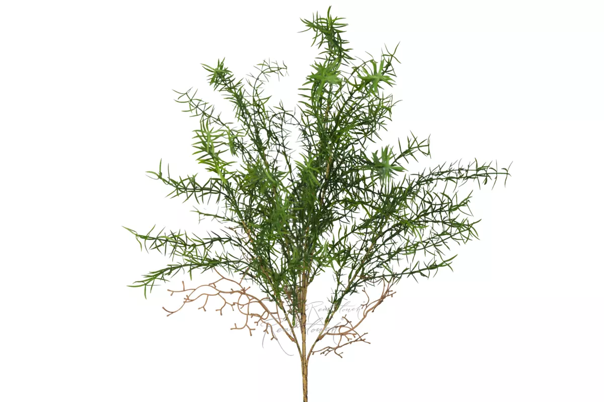 Branch HW-2063 - green