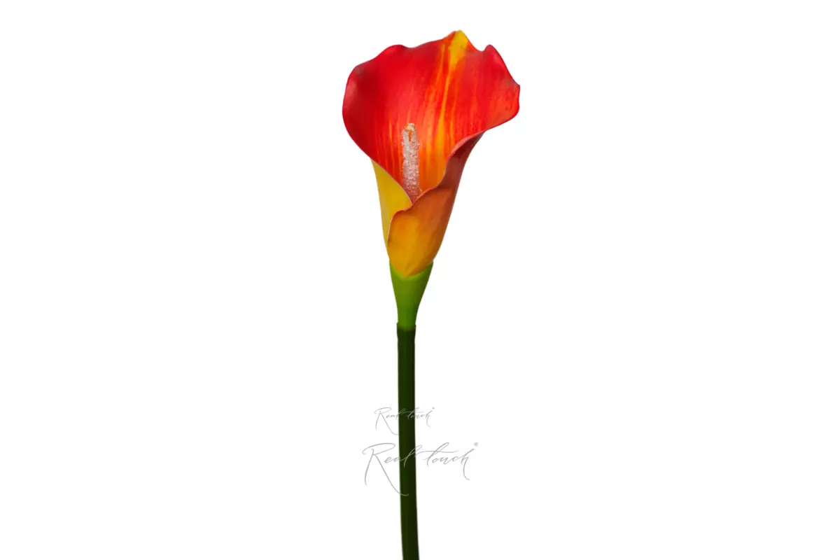 Calla 3D Small - orange