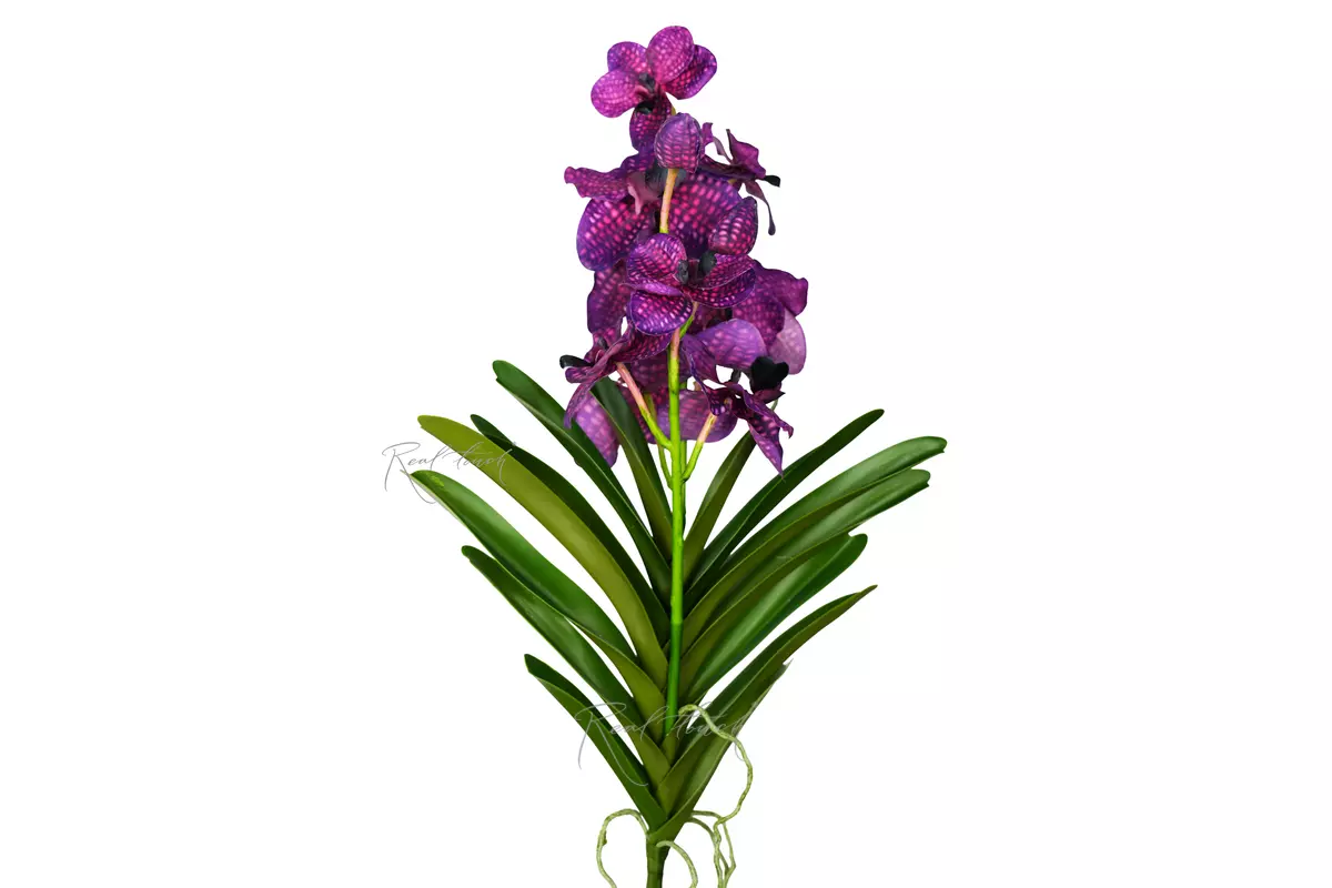 Orchid Vanda with leaves 24.5" - purple