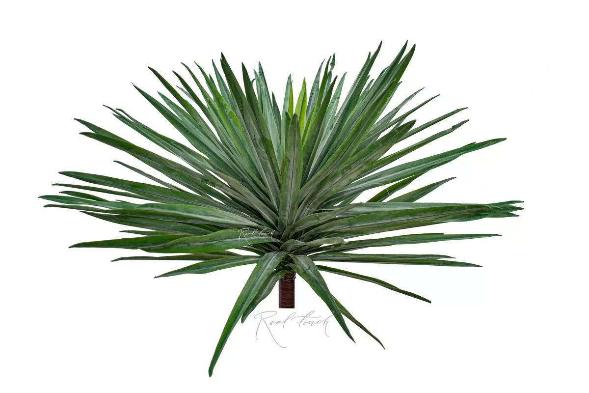 Yucca Garden medium - green