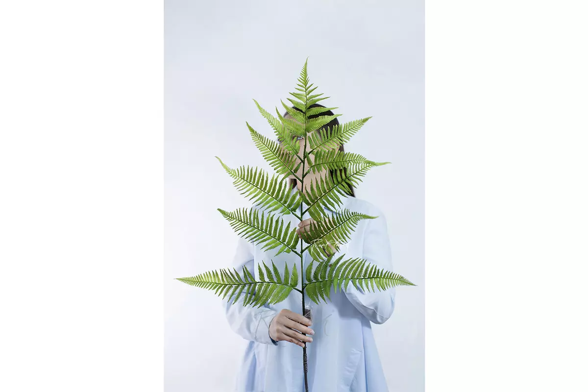 Tree-like branch of fern 137cm - green Tree-like branch of fern 137cm - green