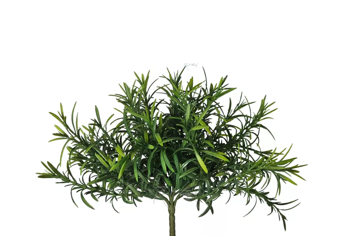 Rosemary small - green