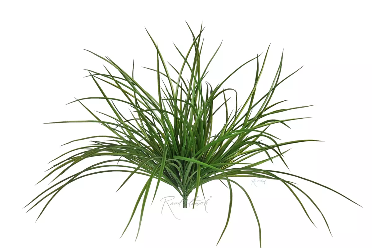 Bunch of grass HX1351 - green