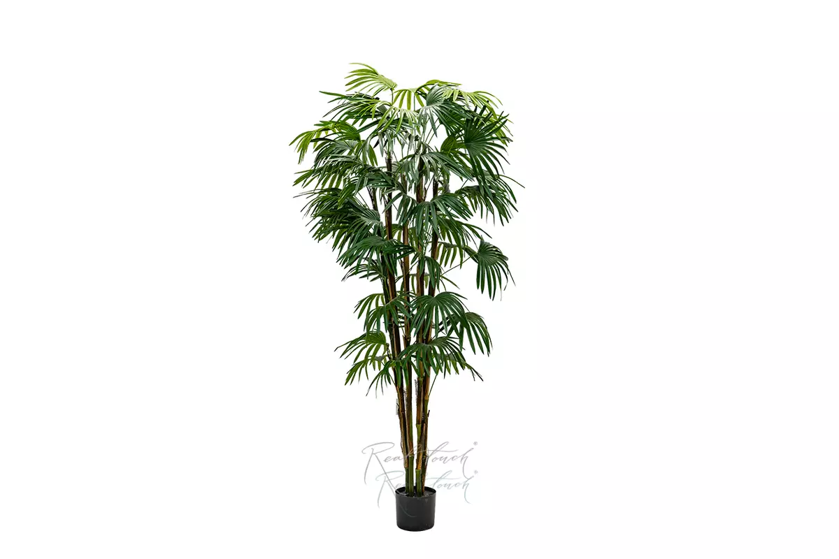 Fan palm 180cm - green Fan palm 180cm - green
