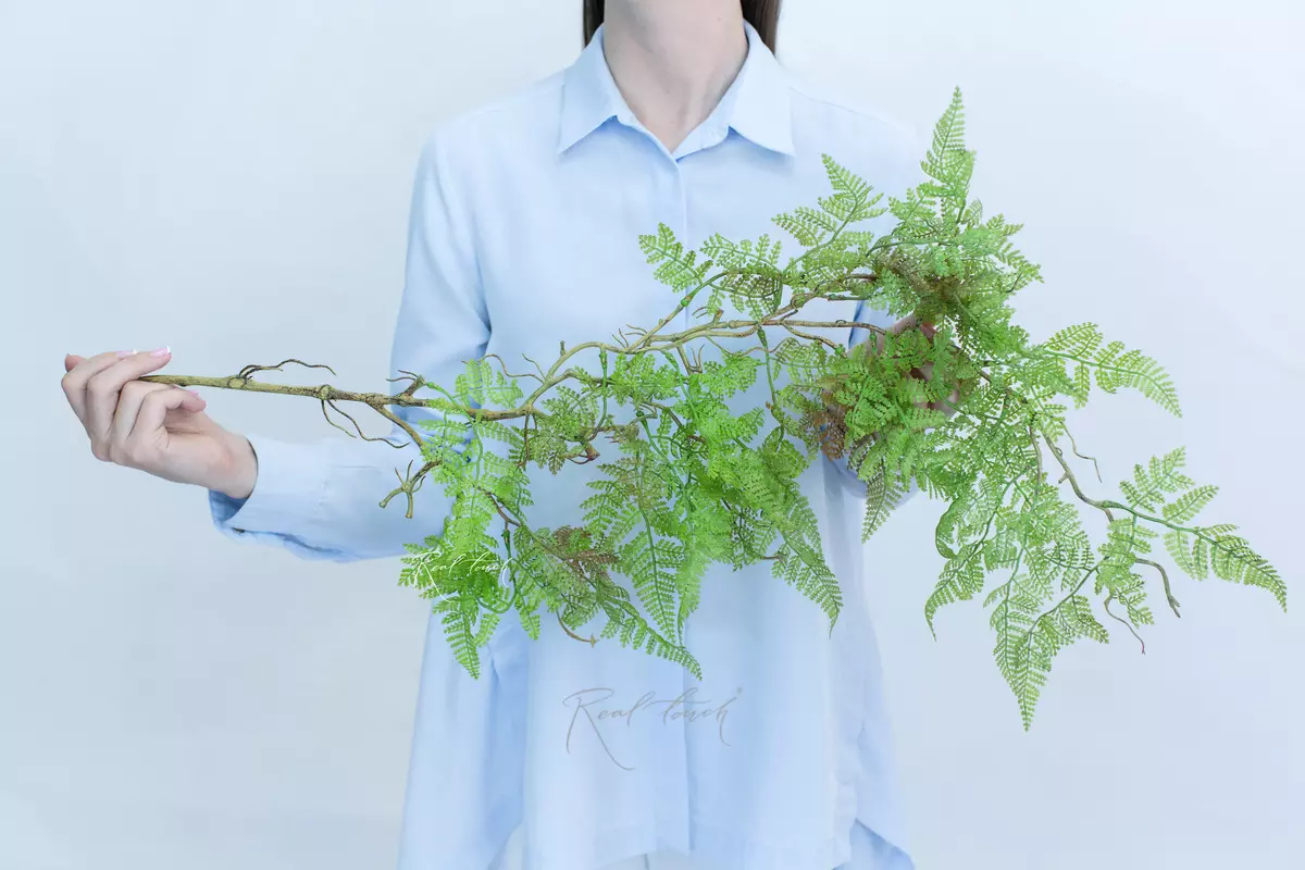 Alpine bulblet fern on a lignified stem - green