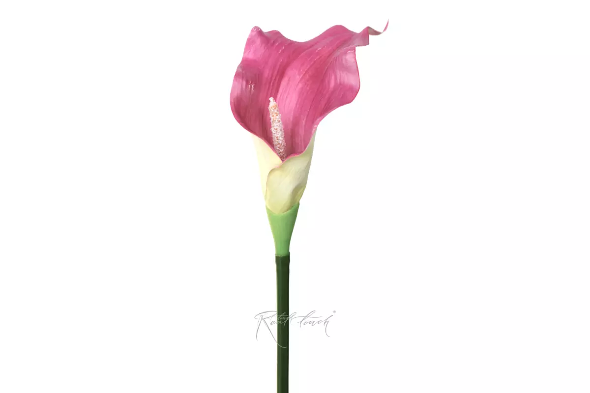 Calla 3D Large - light purple 