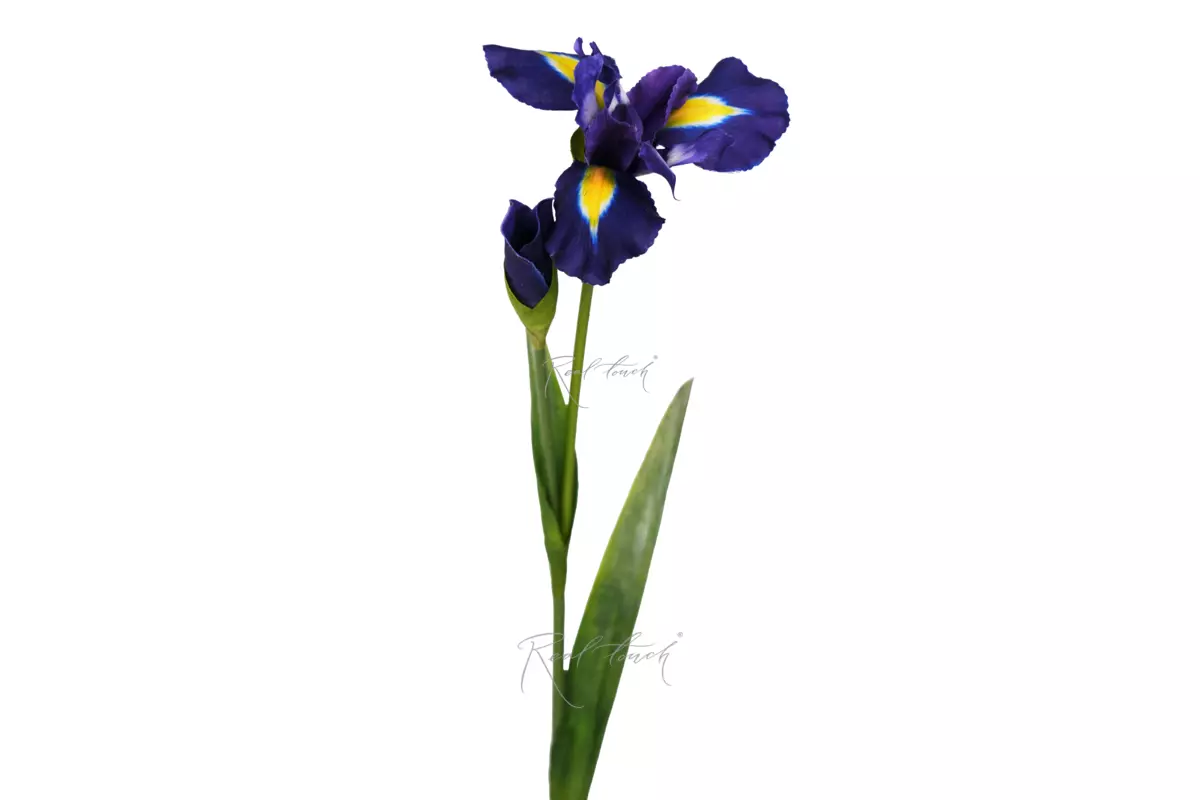 Iris 2 branches 74cm - Dark blue