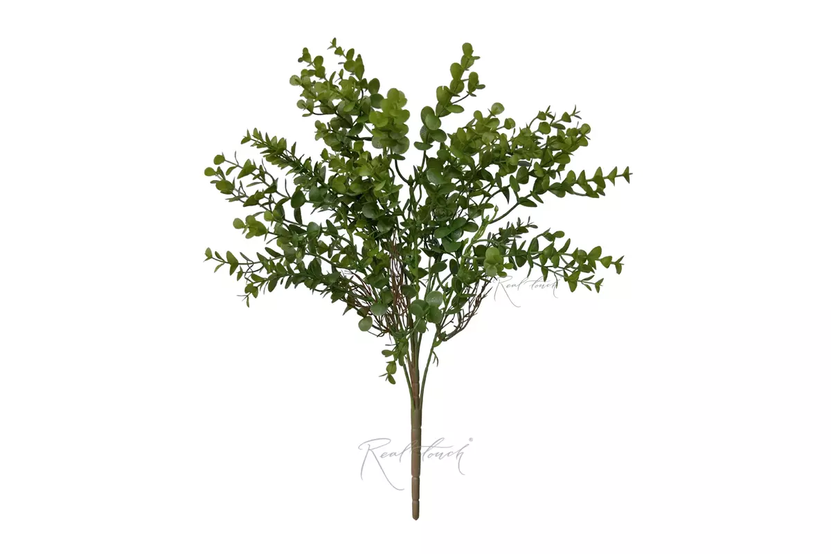  Eucalyptus Bush - green