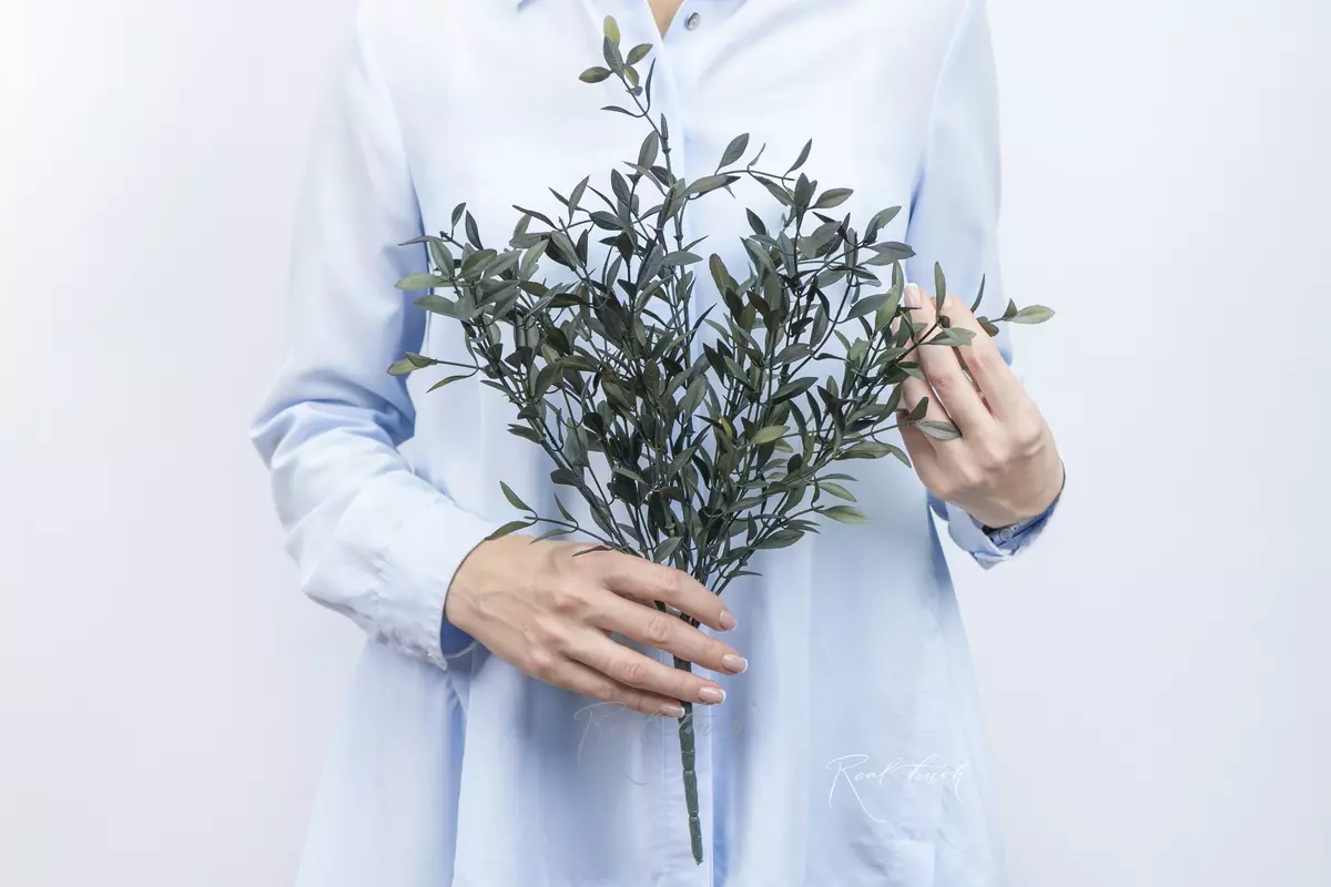 Bunch of barberry - Dark green