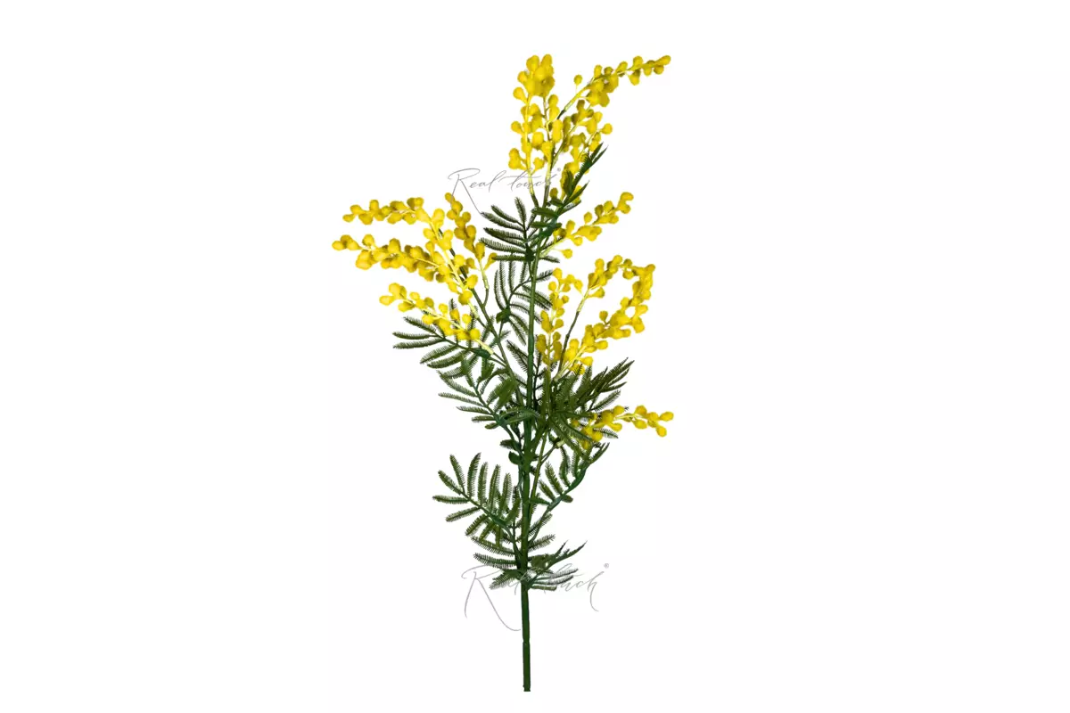MIMOSA 86 cm - yellow