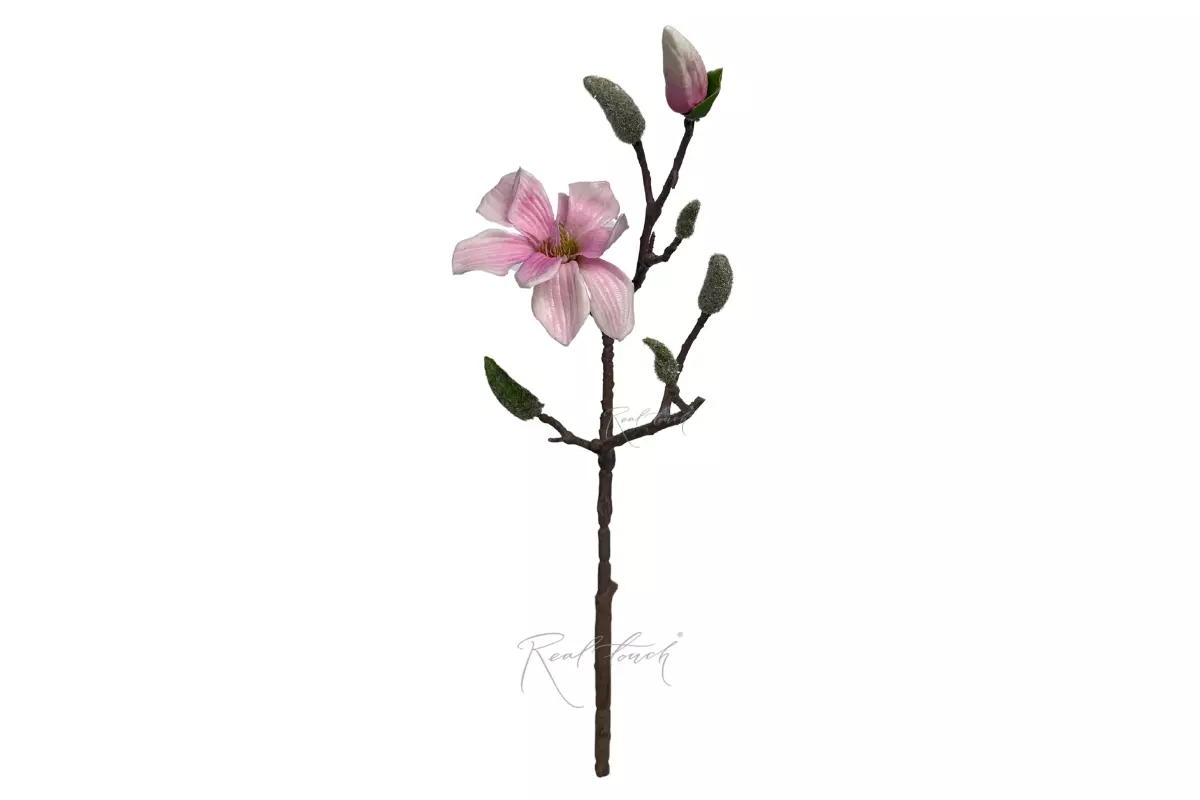 Magnolia Branch small - white pink 