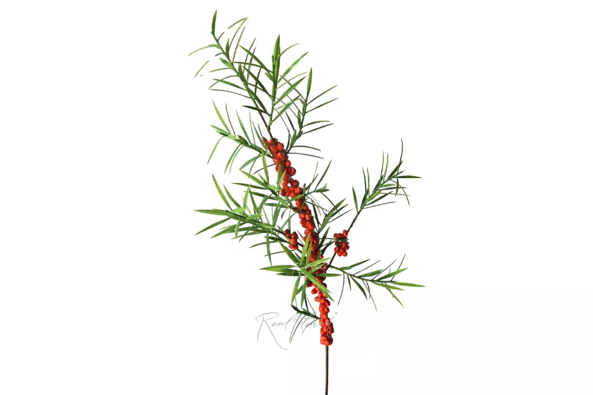 Sea buckthorn branch - Red orange