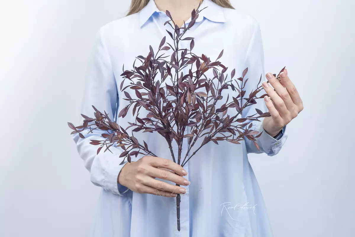Bunch of barberry - bordeaux