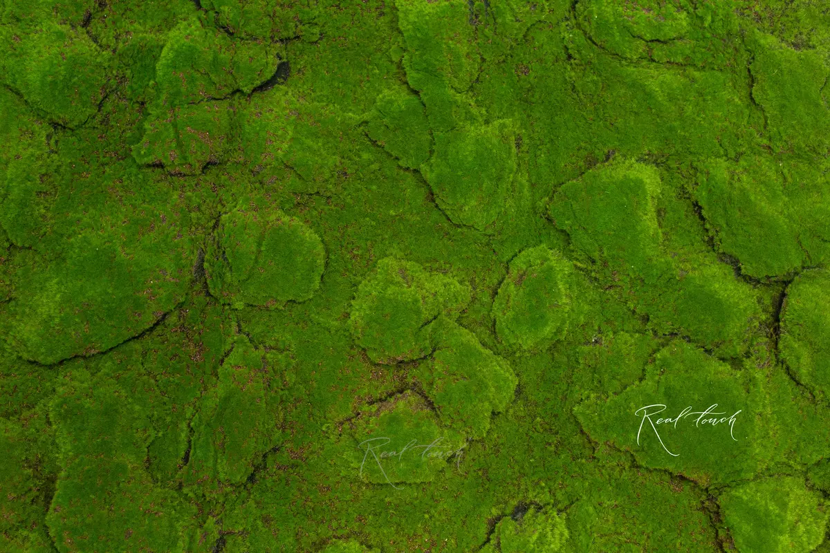 Mat with lumps of moss on felt (dark base) 1*2m - green