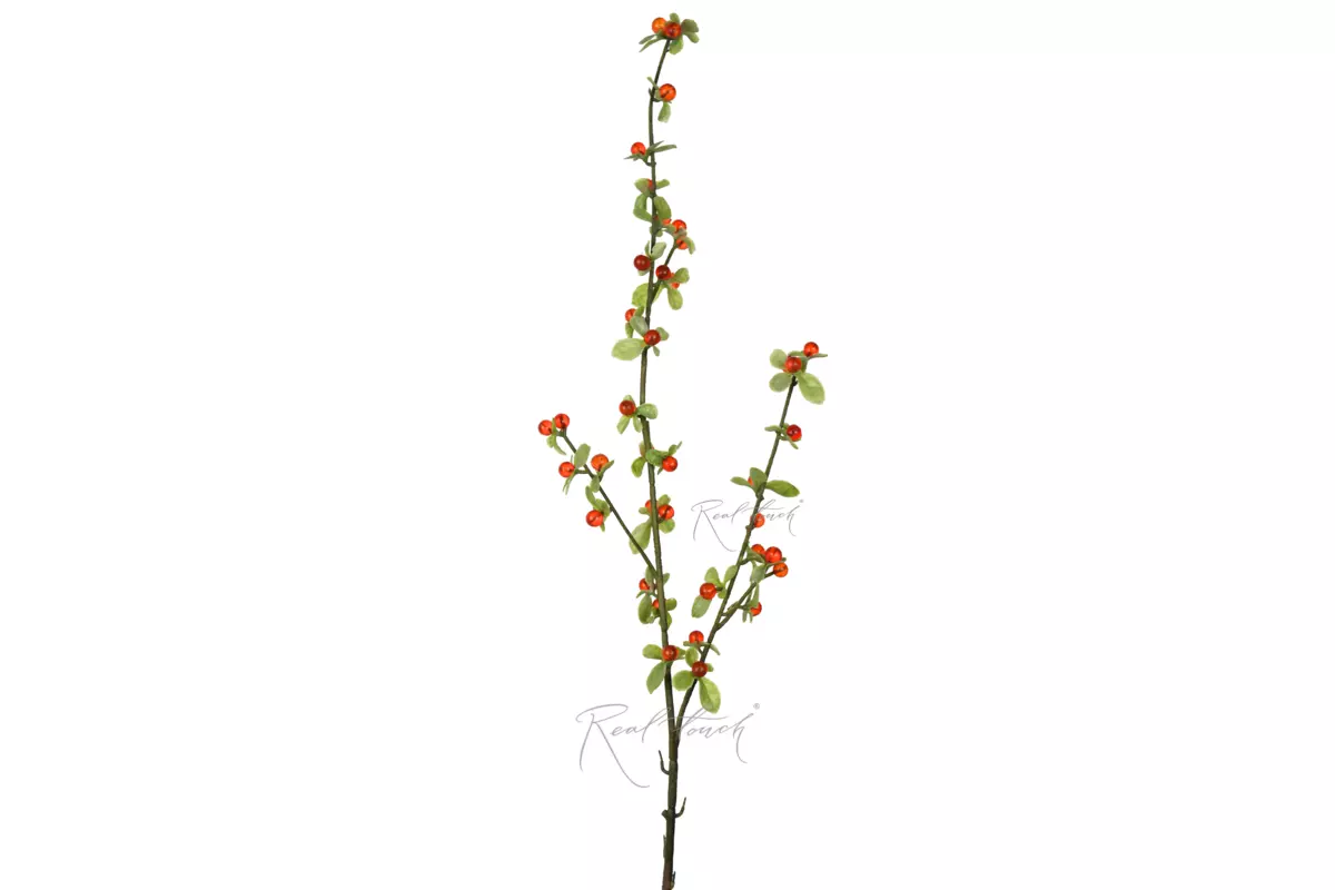 Berry branch 33" - Red orange