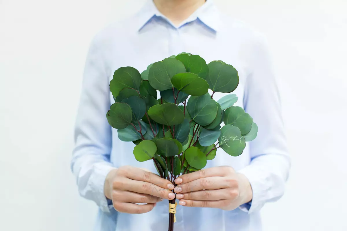 Real Touch Eucalyptus Silver Dollar (8 branches) - blue green Real Touch Eucalyptus Silver Dollar (8 branches) - blue green