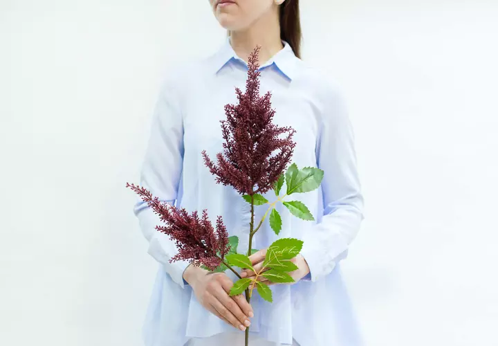 Artificial Astilbe branch - bordeaux